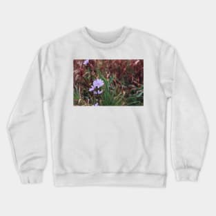 Chicory Flower Crewneck Sweatshirt